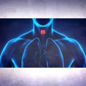 image about أعراض فرط نشاط الغدة الدرقية وأسبابها والتشخيص والعلاج