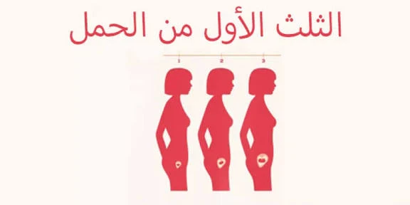 image about الحمل في الثلث الأول من الحمل واعراضه