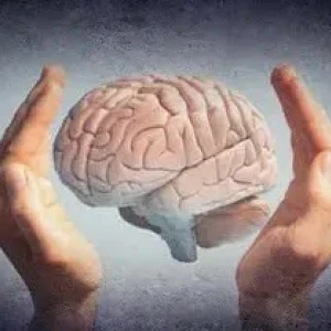 image about هل يمكن أن تحدث شيخوخة الدماغ بسرعة في سن مبكر؟ الإجابة هتفاجئك