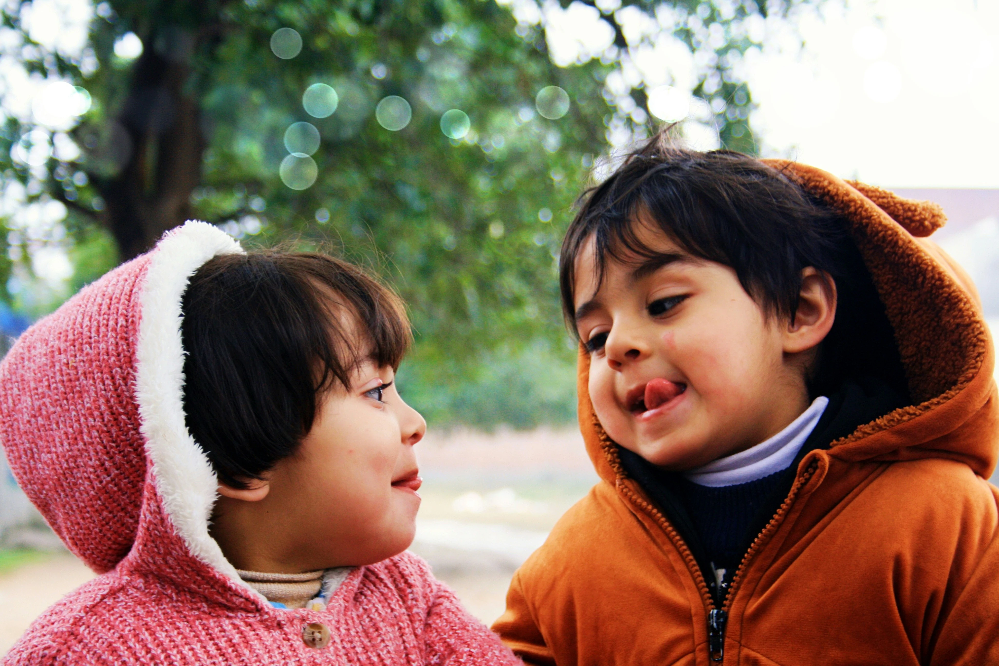 image about أصدقاء، ألوان، وكرات… قصص تعلّمنا السلوك الجميل