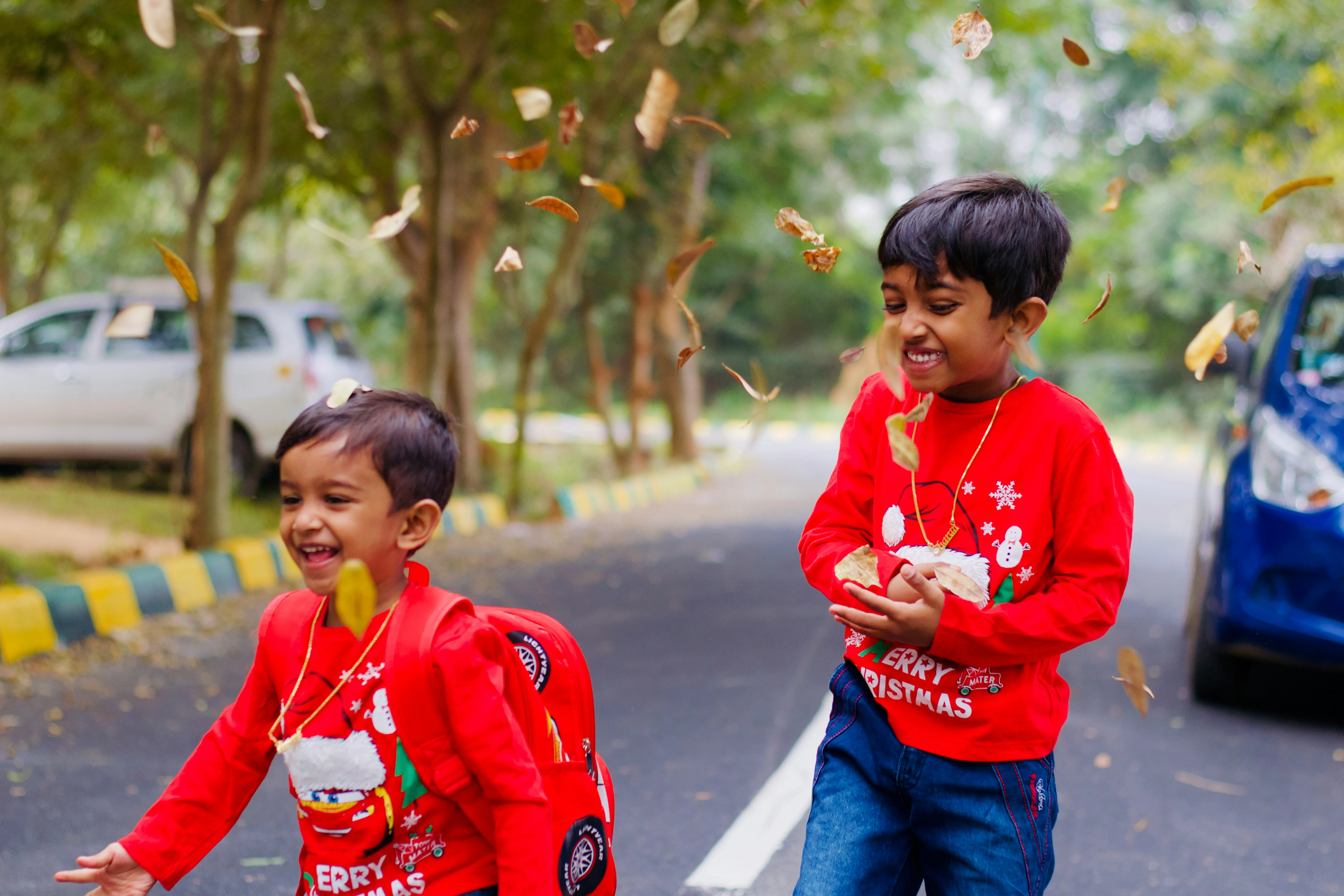 image about أصدقاء، ألوان، وكرات… قصص تعلّمنا السلوك الجميل