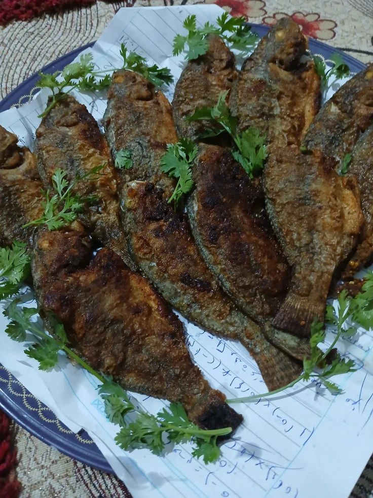 image about طريقة عمل السمك البلطي المقلي في المنزل