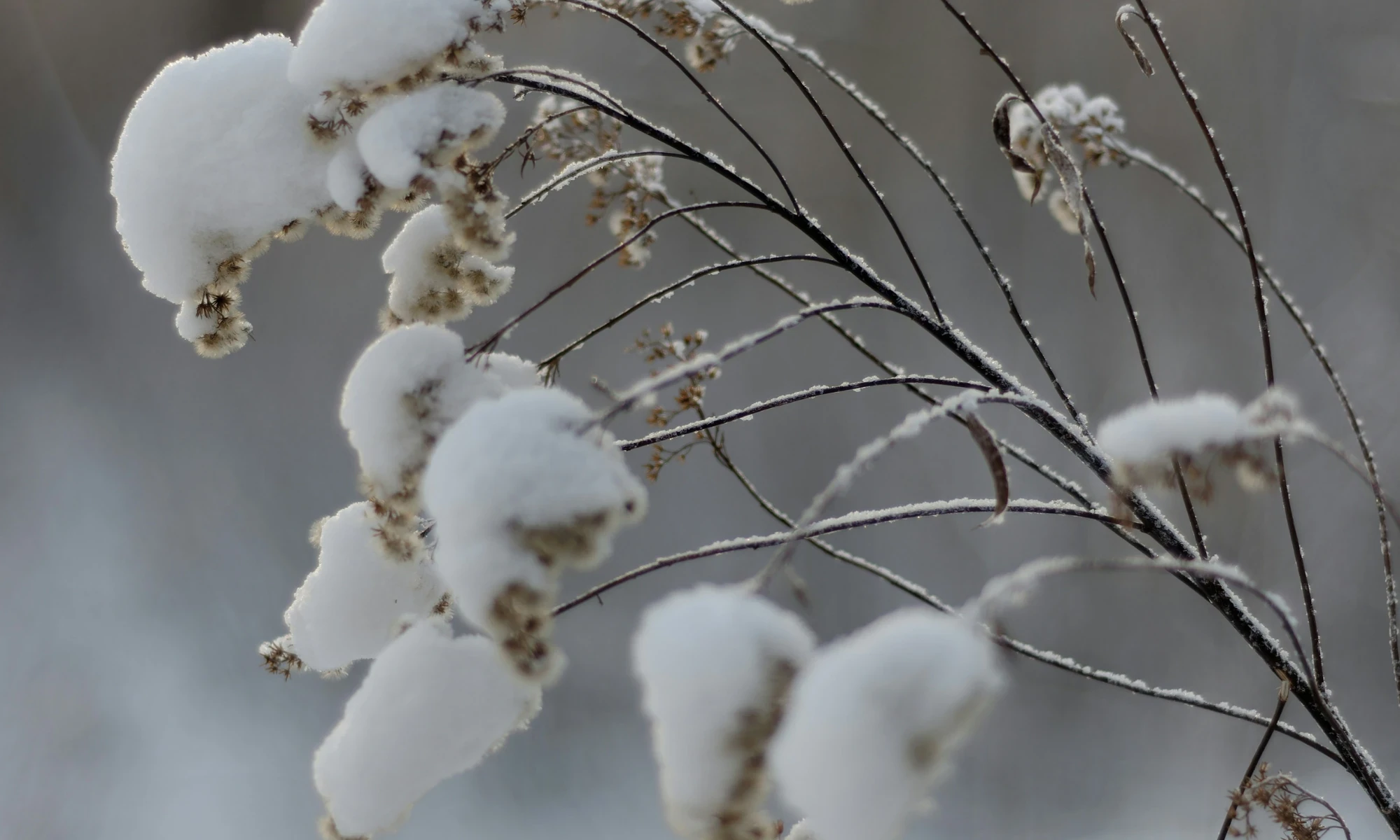 image about كيف تستغل لحظات الشتاء لتعيش مبسوطًا: نصائح عملية لقضاء موسم الشتاء بسعادة