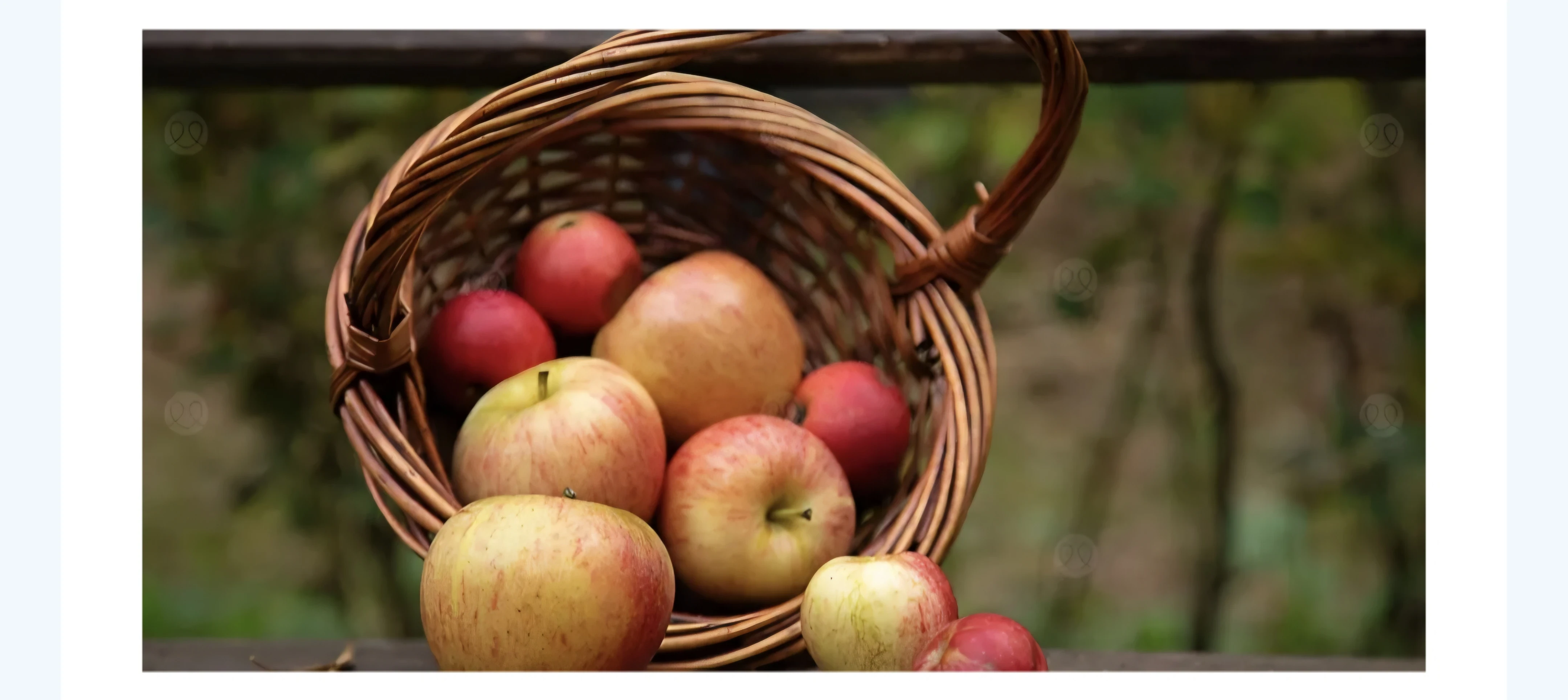 image about ​🍎 ما هو أفضل وقت لتناول التفاح؟ خبراء التغذية يجيبون على 