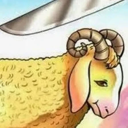 image about قصة سيدنا إسماعيل عليه السلام كاملة وأهم الدروس المستفادة منها