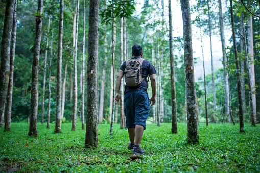 image about رجل يسير في غابات أفريقيا