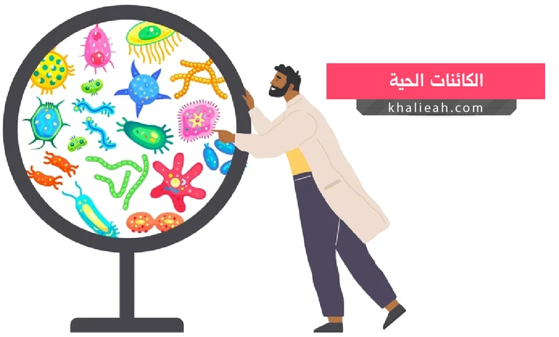 image about علم الاحياء الواسع 