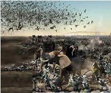 image about قصة أصحاب الفيل