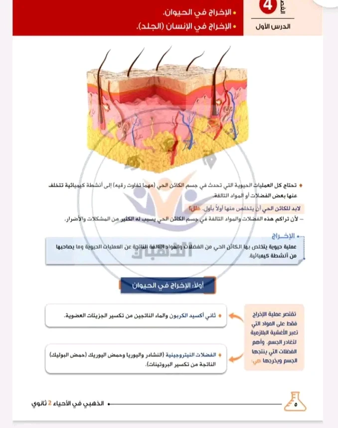 image about تحميل كتاب الذهبي في مادة الأحياء ثانية ثانوي 2026 pdf