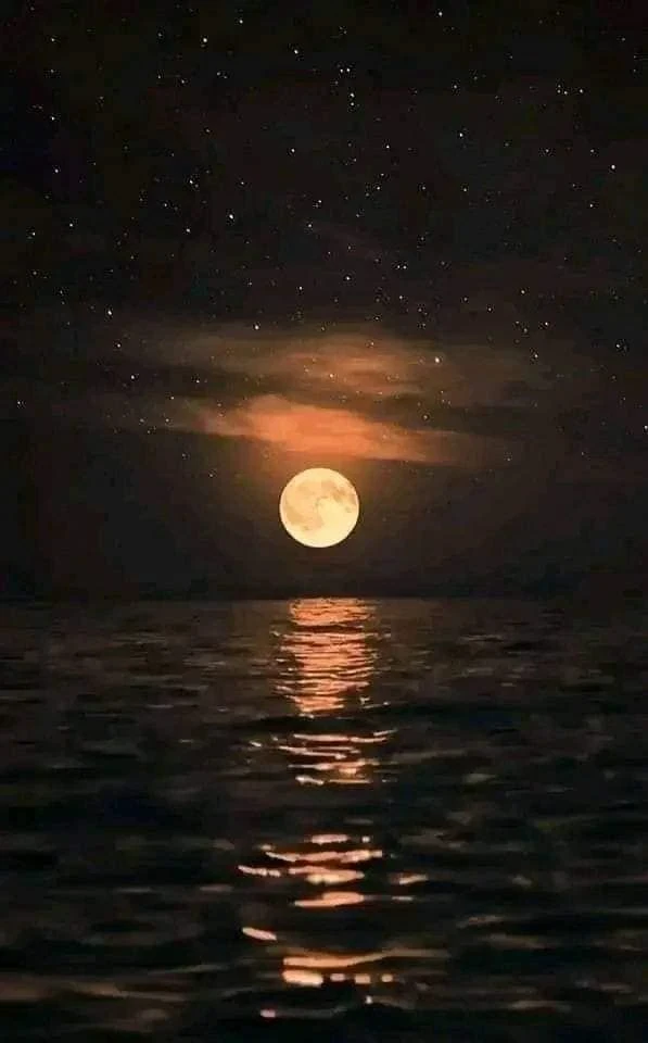 image about ☄️ نور في قلب الظلام: كيف يولد الأمل من رحم الألم ويصنع إنسانًا أقوى