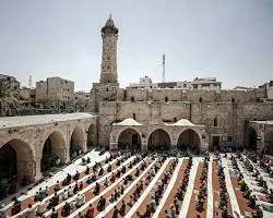 image about أرض الصبر للكاتب محمود مجدى  من الفصول الحادى عشر حتى الاخير الخامس عشر