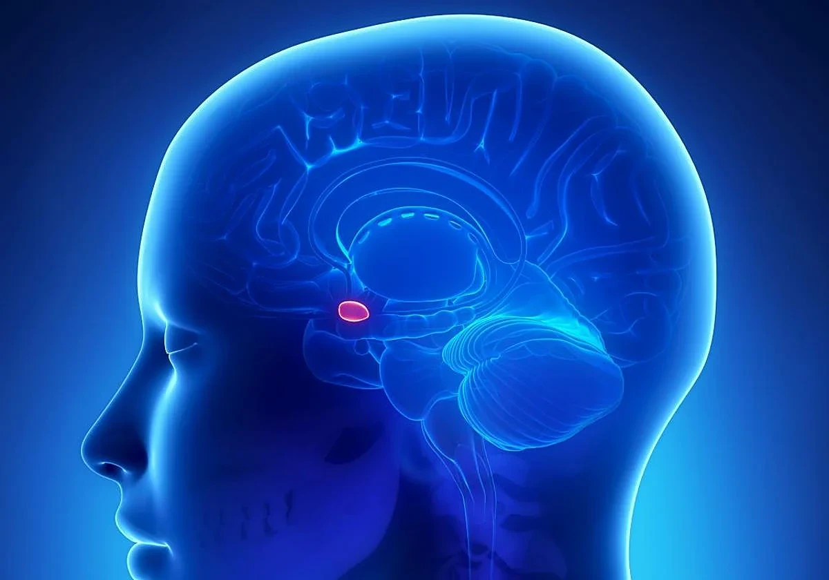 image about هذه هي الطريقة التي يعمل بها رادار الخطر الغامض الذي لدينا جميعا في رؤوسنا