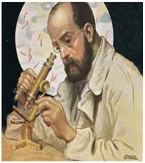 image about روبرت كوخ: رائد علم الجراثيم ومؤسس المنهج الحديث في اكتشاف مسببات الأمراض