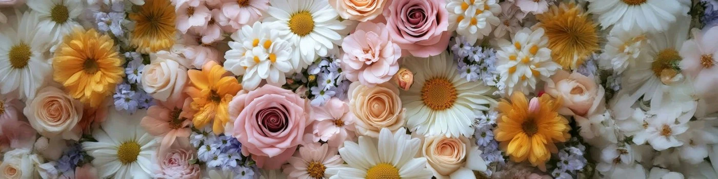 image about تنزيل كتاب الأضواء في اللغة العربية الصف السادس الابتدائي الترم الثاني 2026 PDF