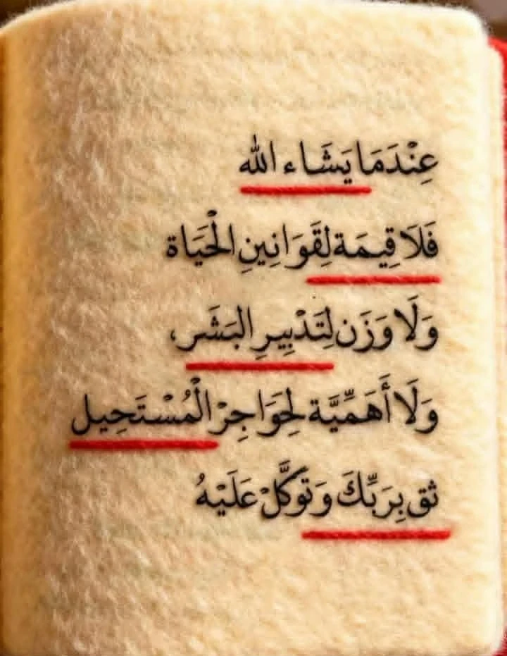 image about تحميل كتاب الأضواء في الرياضيات للصف الثاني الإعدادي   (الترم الثاني 2026) والنموذج الإرشادي للإجابات