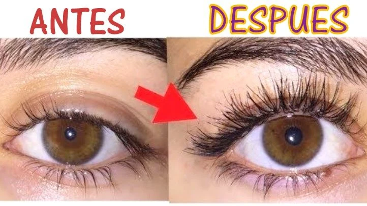 image about 🌿 أسرار الطبيعة لتكثيف الرموش والحواجب: دليلك الشامل لوصفات منزلية آمنة وفعّالة