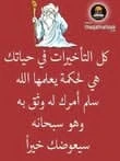 image about تحميل كتاب  التاسيس السليم فى الرياضيات للصف الاول الابتدائى 2026   الترم الثانى (الشرح - والاسئلة والاجوبة )