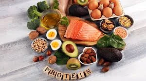 image about هل يعتبر الإفراط في تناول البروتين ضارًا للصحة؟