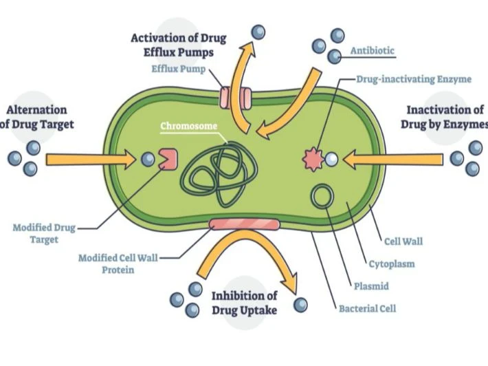 image about مقاومة الميكروبات : الحرب الصامتة وآليات الخداع البكتيري التي تهدد مستقبل الطب 