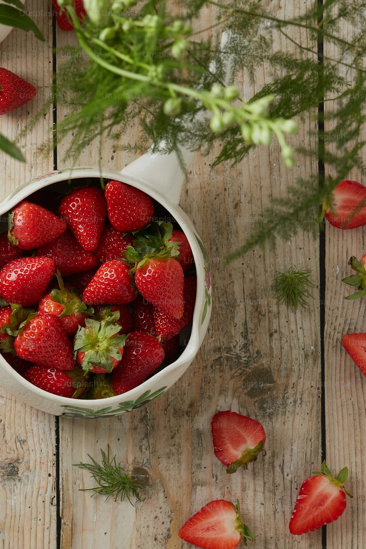 image about التوتيات 