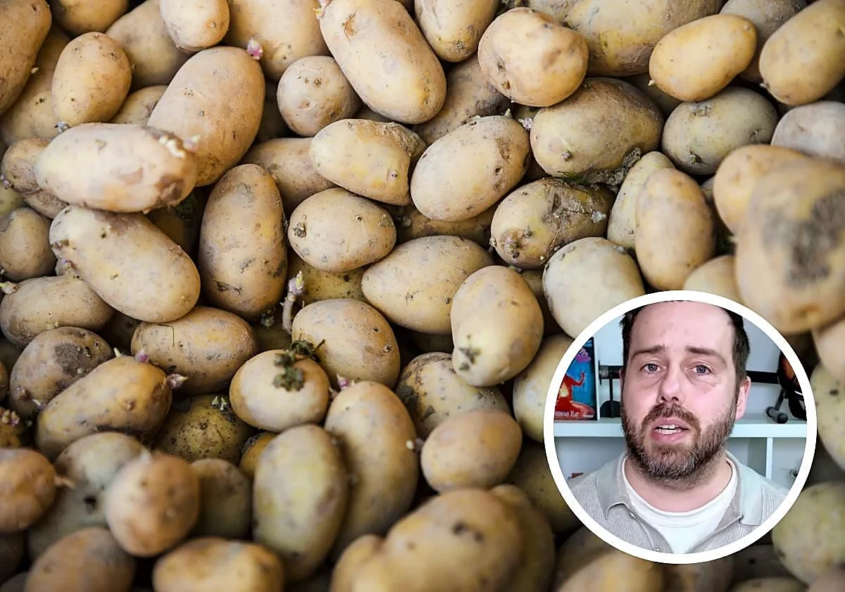 image about خطر تناول البطاطس مع البراعم: 