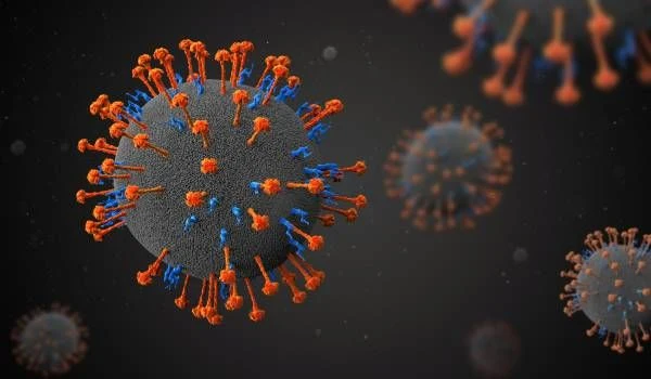 image about 💉 فيروس نيباه القاتل | ما هو؟ أعراضه وطرق العدوى والوقاية منه