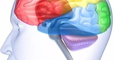 image about خلل الجهاز العصبى اللارادى