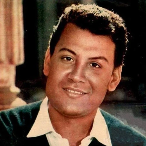 image about محمد رشدي: صوت الأرض والناس