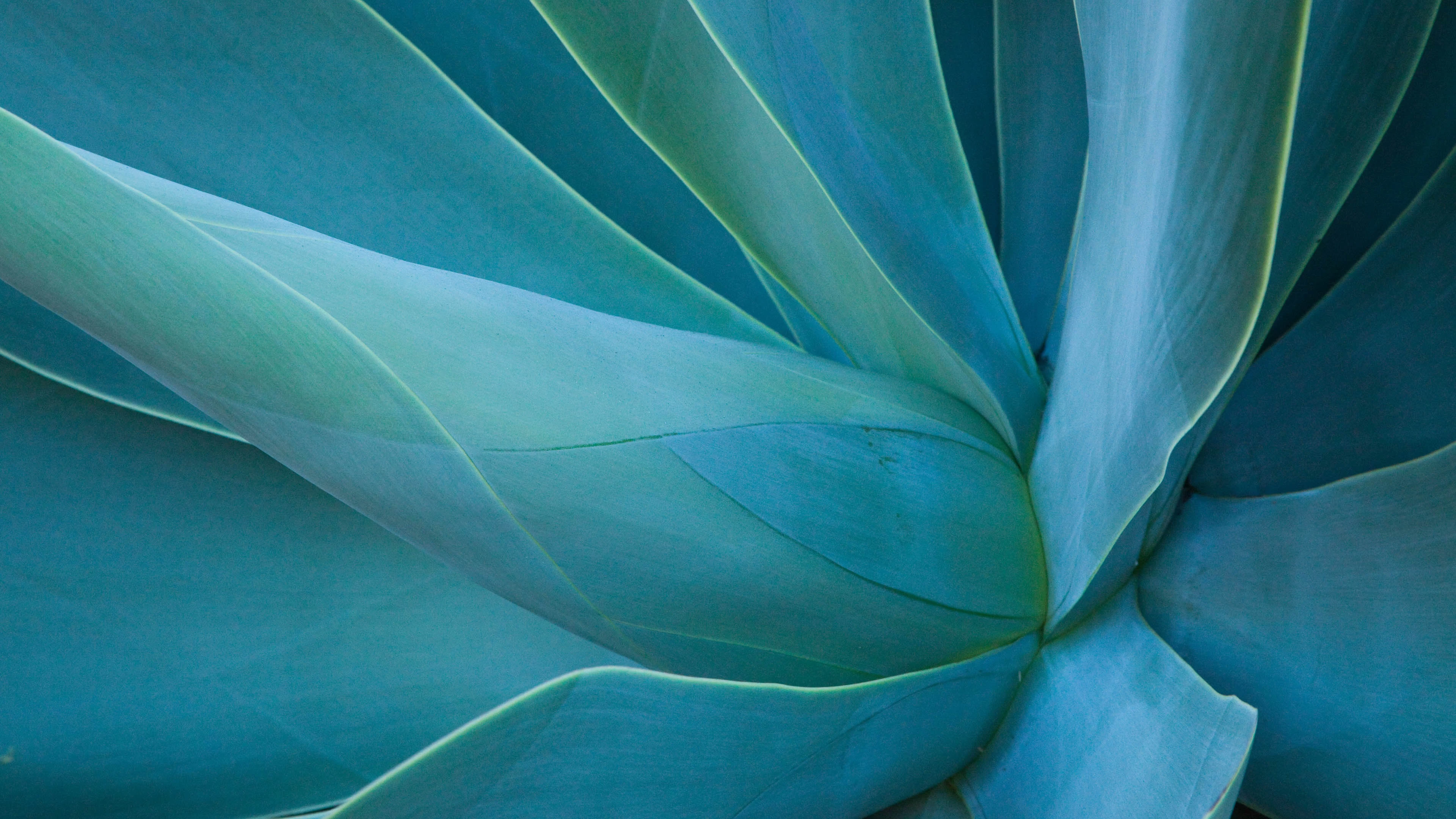 image about طريقك نحو الثقافة