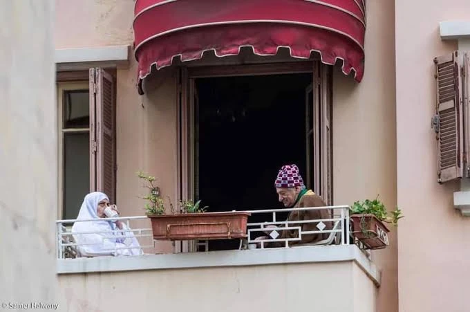 image about الونس وأهميته فى حياتنا