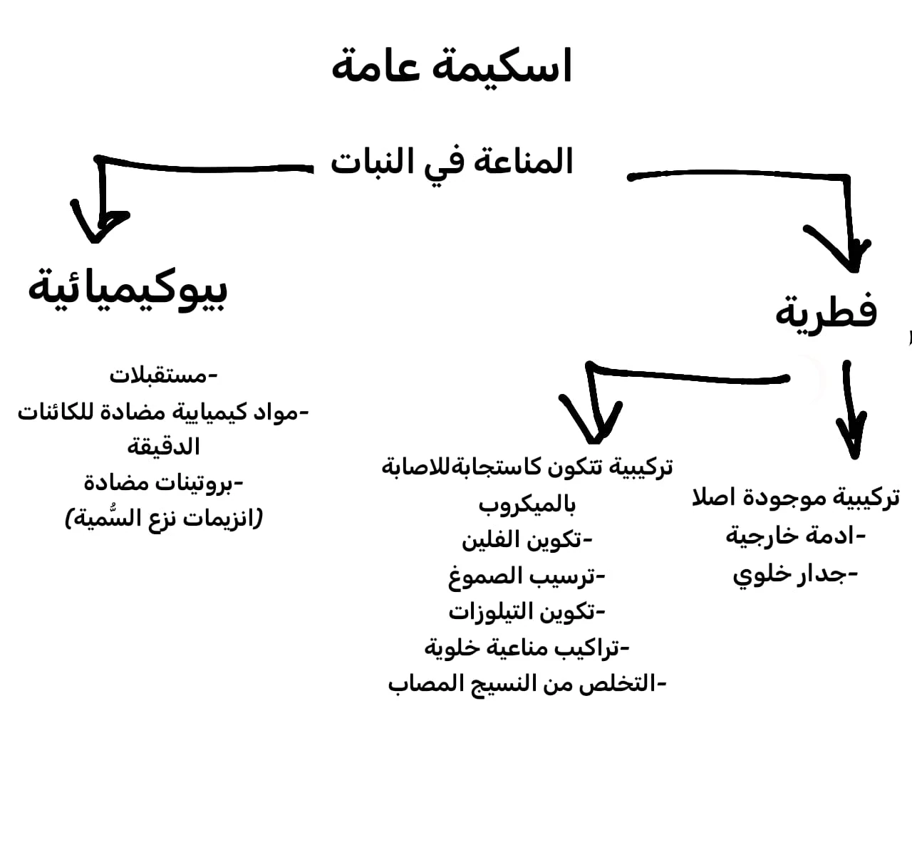 image about ملخص المناعة في النبات