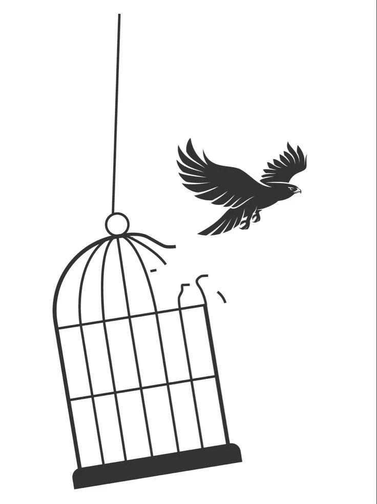 image about امتي الوجع يبق درس وامتي يتحول الي قيد ؟؟ 💌❤️‍🩹