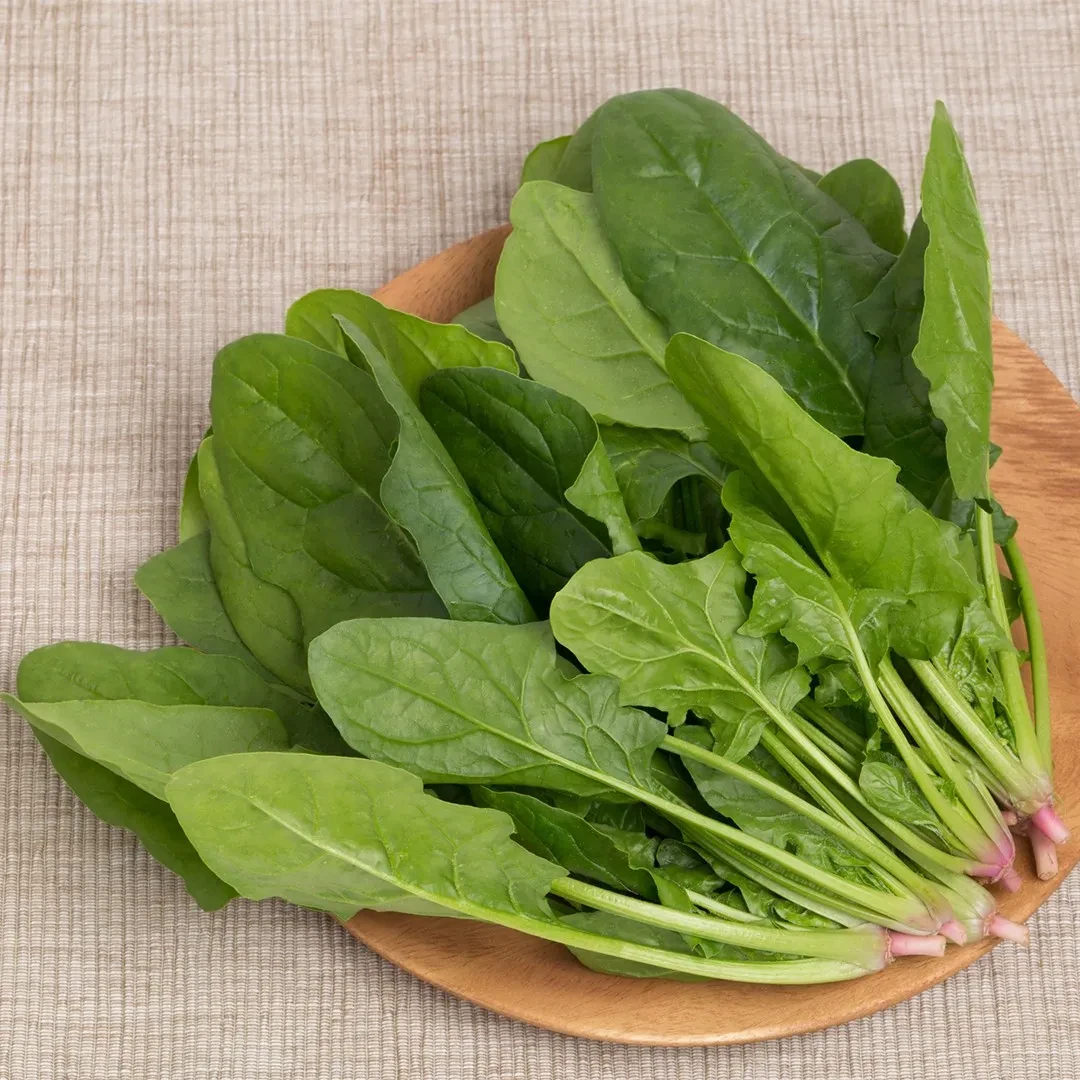 image about درع العافية: الدليل الشامل لأفضل الأطعمة لتعزيز المناعة وصحة الجسم