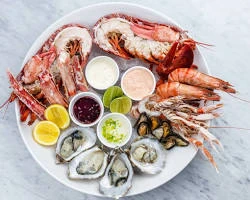 image about درع العافية: الدليل الشامل لأفضل الأطعمة لتعزيز المناعة وصحة الجسم