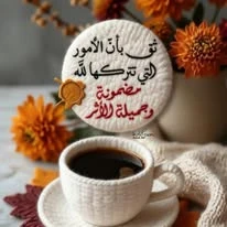 image about تحميل وتنزيل كتابي المعاصر في اللغة الإنجليزية   للصف الثاني الثانوي - ترم ثانى - رابط مباشر 2026 