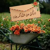 image about تحميل  كتاب الامتحان في الفيزياء للصف الثاني الثانوي   –الترم الثانى 2026  كتاب الشرح  pdf رابط مباشر