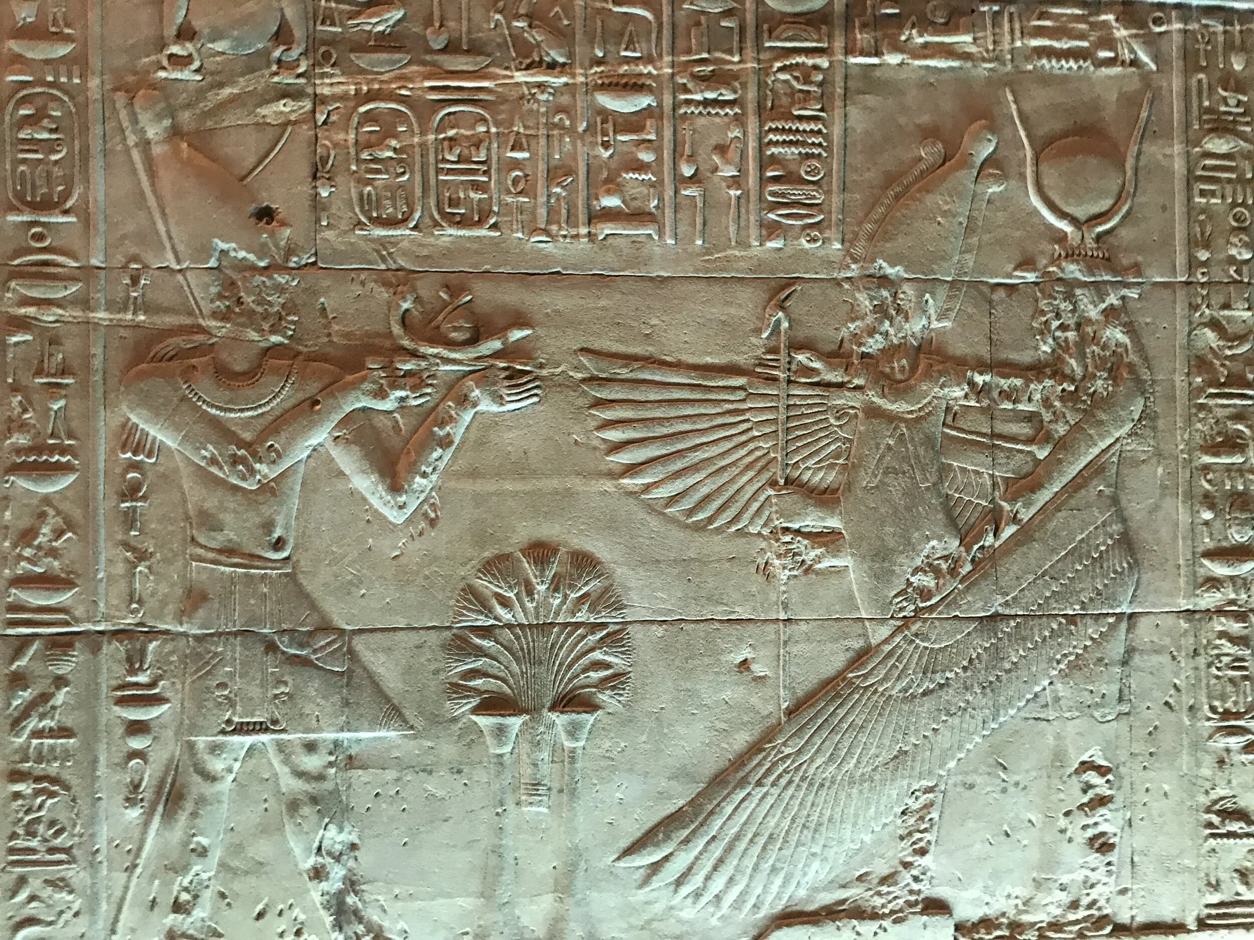 image about  معبد فيلة: آخر معاقل الديانة المصرية القديمة وجسر الحضارات على ضفاف النيل