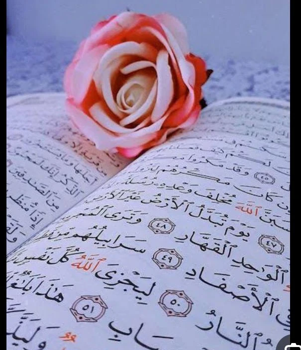 image about نور الهداية في القرآن الكريم ومنهجه في بناء الإنسان