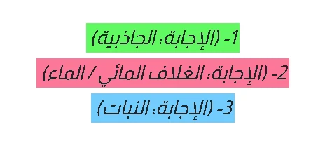 image about تحميل كتاب سندباد في العلوم للصف الخامس الابتدائي (الترم الثاني) لعام 2026