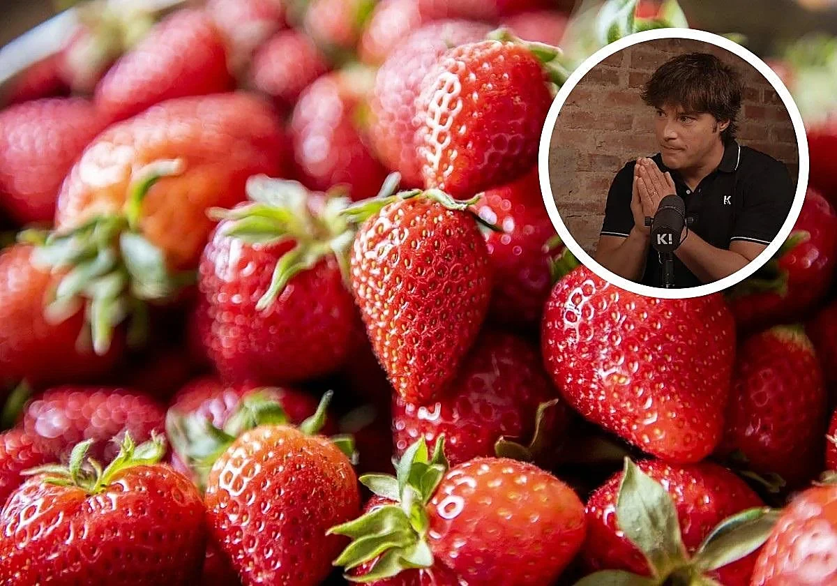image about الفراولة حتى لا تفسد: