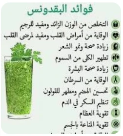 image about حقيقة صادمة: أوراق خضراء في مطبخك قد تغيّر صحتك بالكامل!