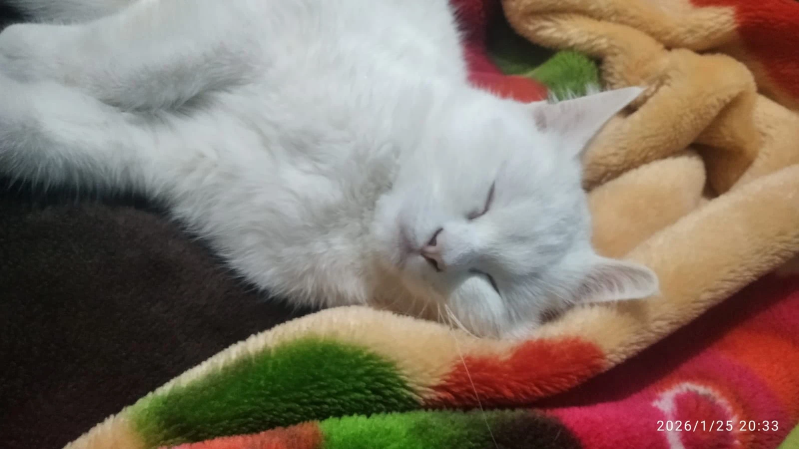 image about فلوس. أهمية الفلوس