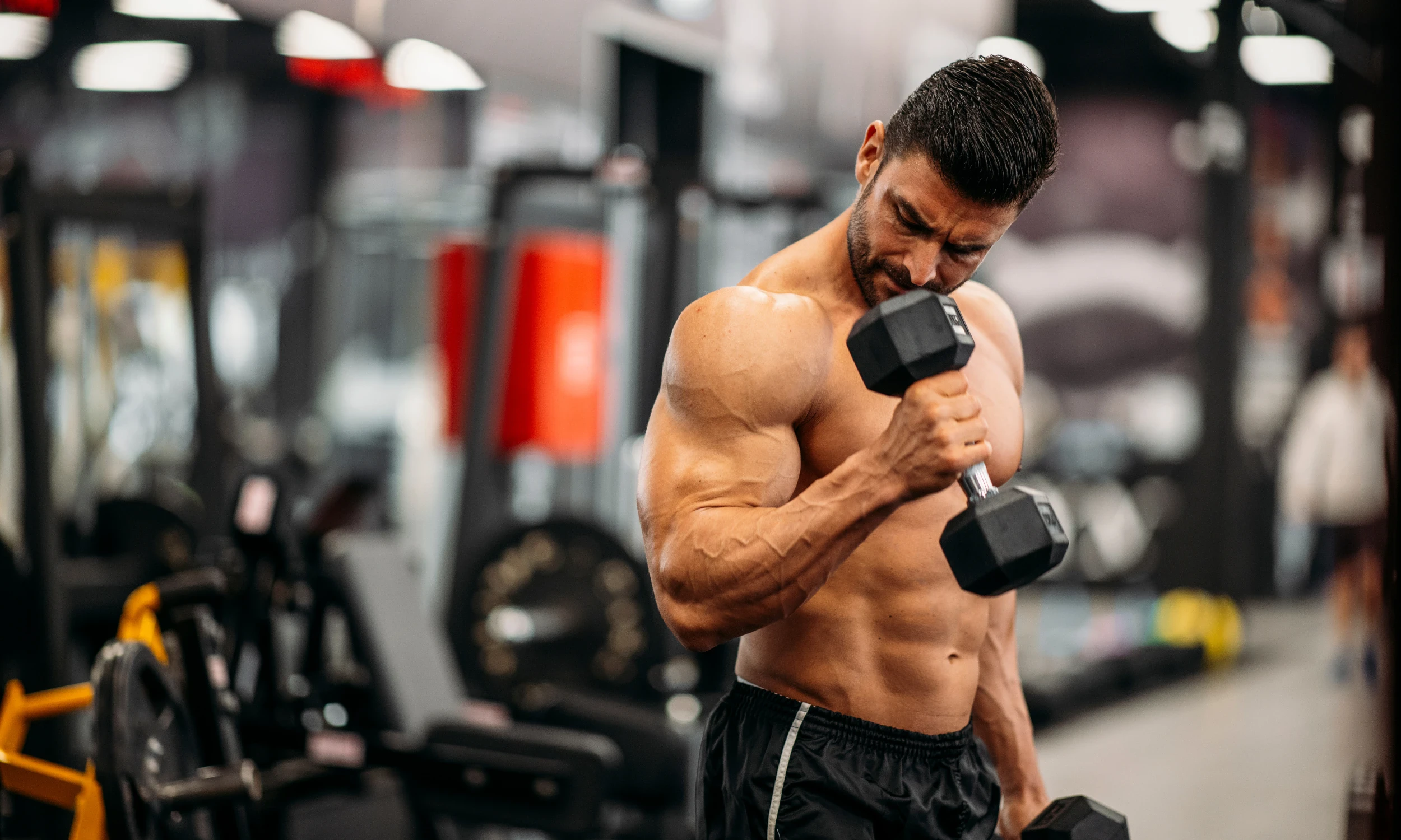 image about دليل تضخيم العضلات للمبتدئين 2026: أفضل برنامج تدريبي ونظام غذائي عملي بدون مكملات