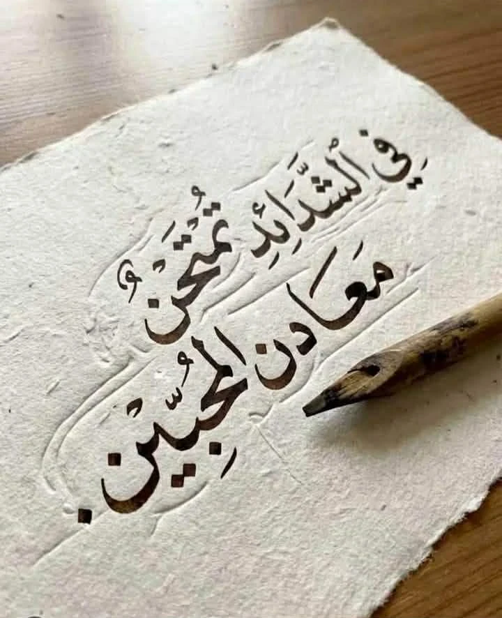 image about تحميل ملحق المعاصر ماث (رياضيات – لغات) الصف الخامس الابتدائي ترم ثاني 2026