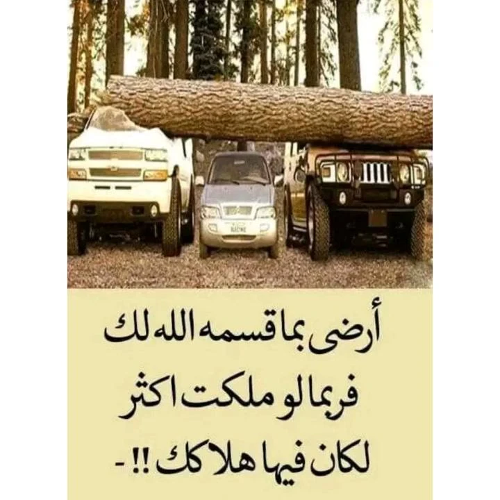 image about تحميل كتاب قطر الندى في اللغة الإنجليزية للصف الثالث الابتدائي    الترم الثانى 2026 احدث نسخة