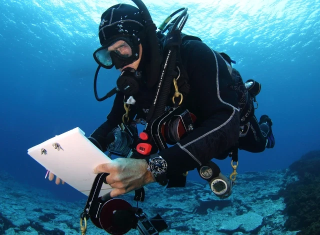 image about إعادة الاتصال بالطبيعة ، الخطوة الأولى لإنقاذ البحار والمحيطات