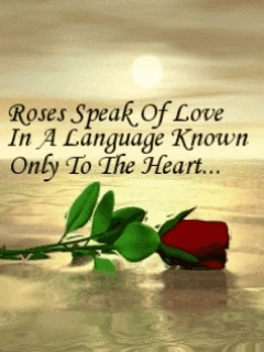 image about نصاءح وثاءقية جميلة