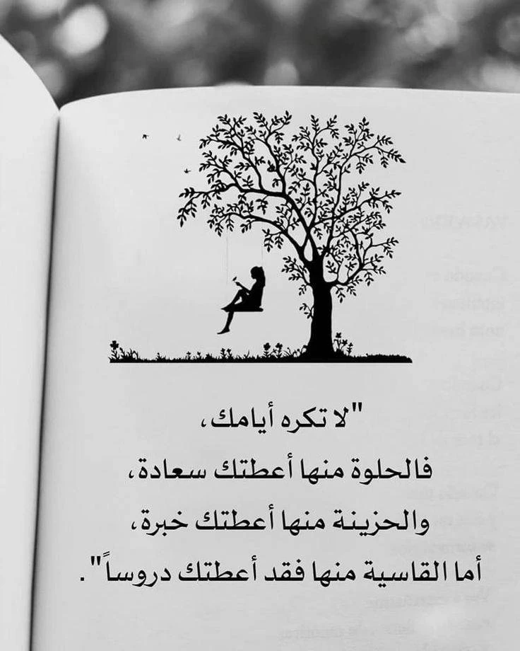 image about  تحميل  كتاب برافو في اللغة الفرنسية – للصف الأول الثانوي   ترم ثاني 2026 رابط مباشر احدث نسخة 