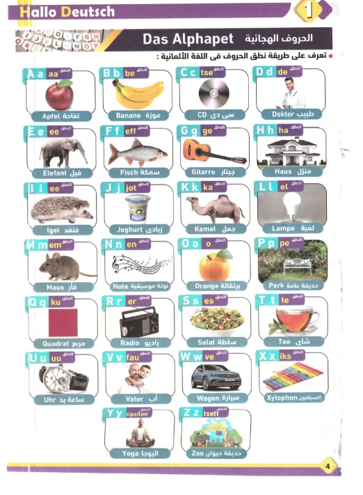 image about حمل الآن كتاب Hallo ألماني أولى ثانوي ترم أول 2026 PDF النسخة الأصلية كاملة مجانًا