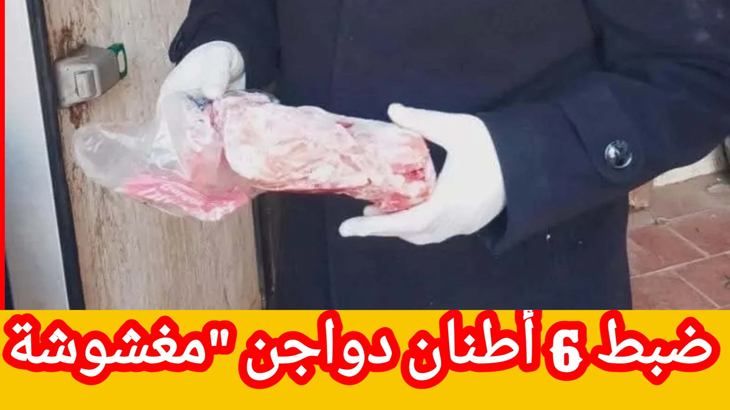 image about ضبط 6 أطنان دواجن 